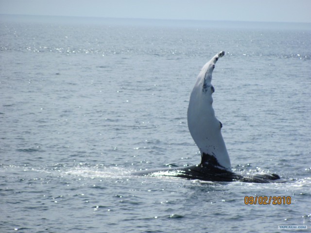 Деревенская Америка