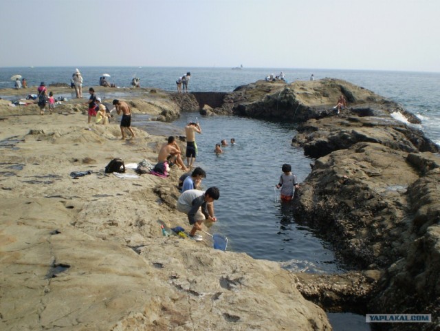 Далёкая Япония