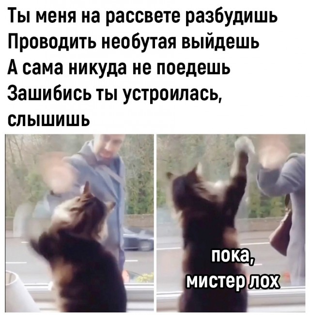 Так себе картинки 10.10.22
