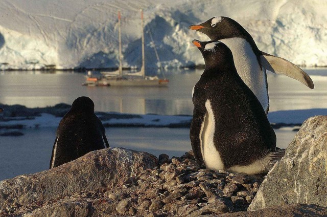 Северный ледовитый океан
