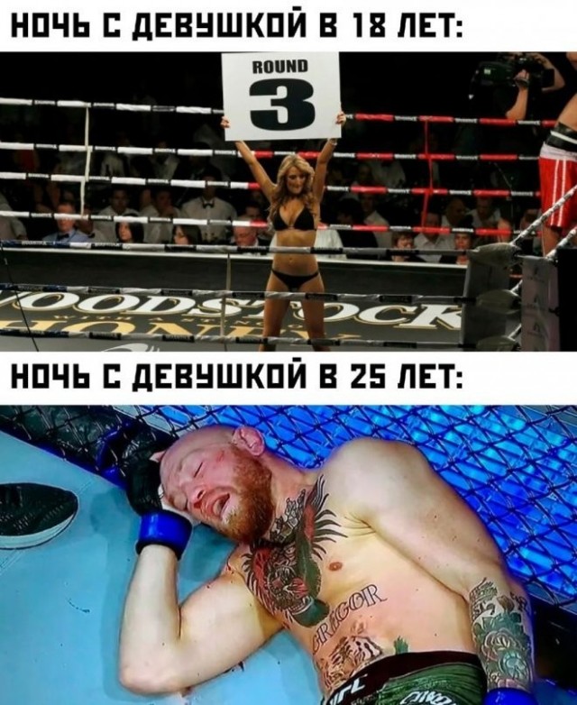 Весёлый полтишок 10.11.22