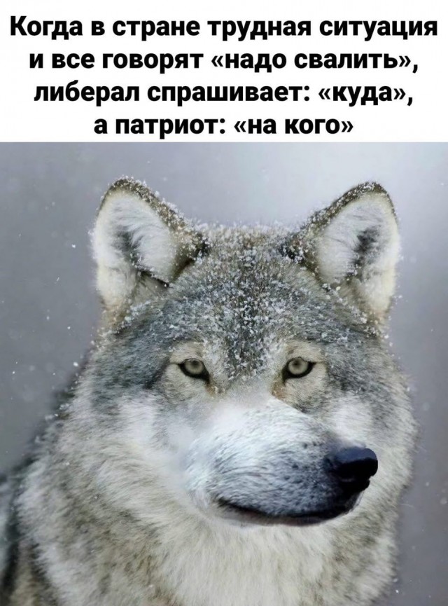 Победная поступь идиотизма по планете – том 5