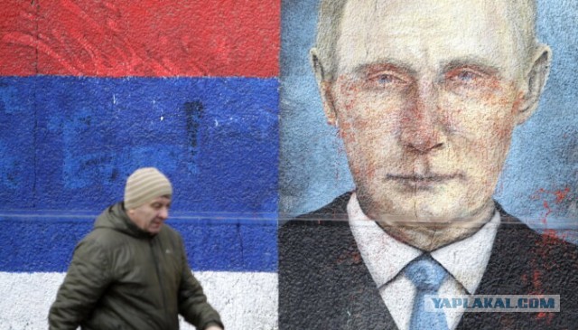 Сербия может ввести санкции против России