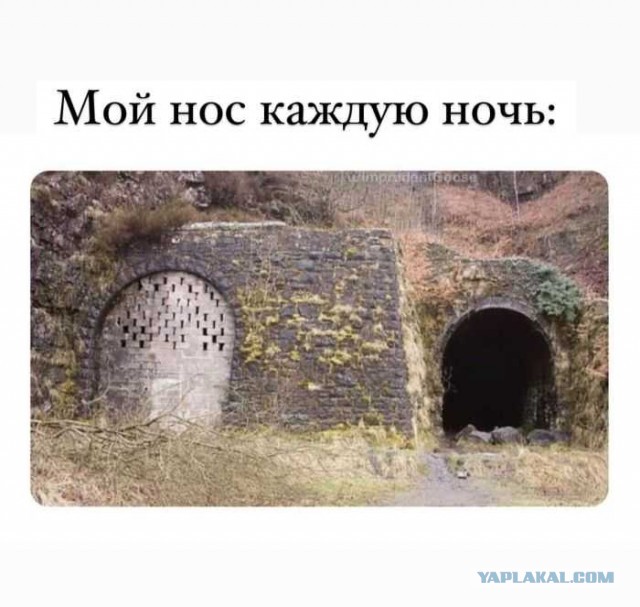 38 разных картинок для настроения (1)