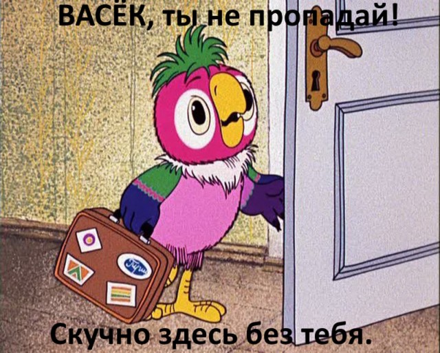 Смешные комментарии из социальных сетей 15.05.23
