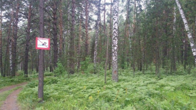 Прикольные и просто красивые картинки 21.07.2023