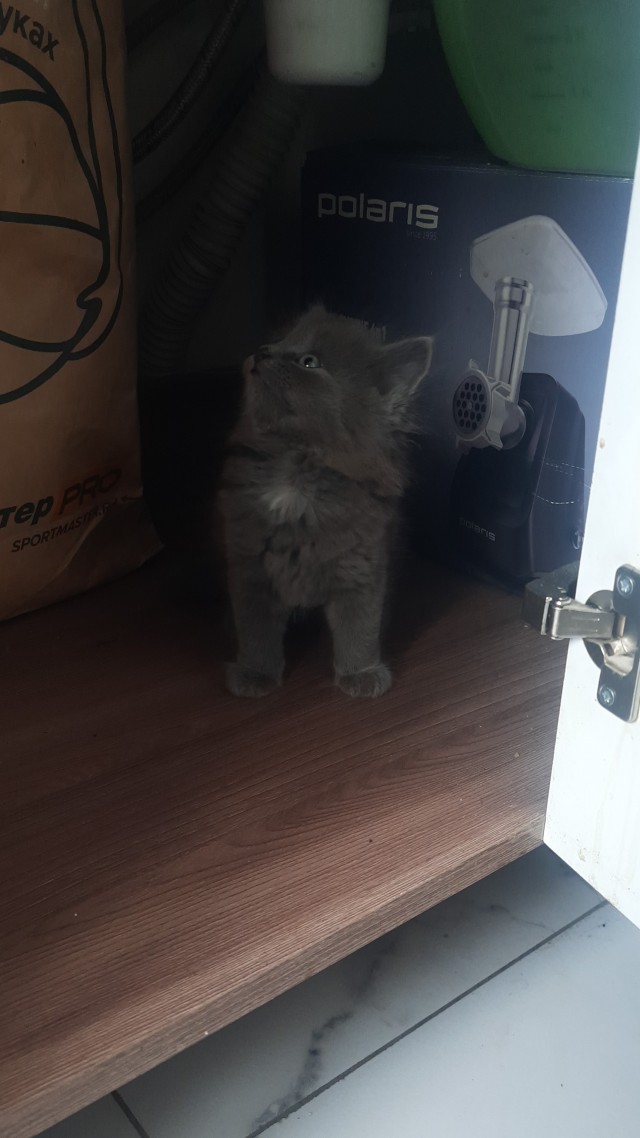 Ну вот и я стал рабом.