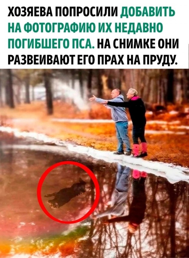 Фотосмесь 20.09.23