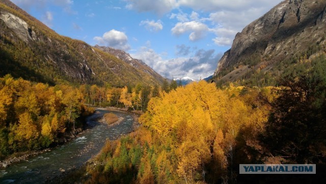 Краски осени
