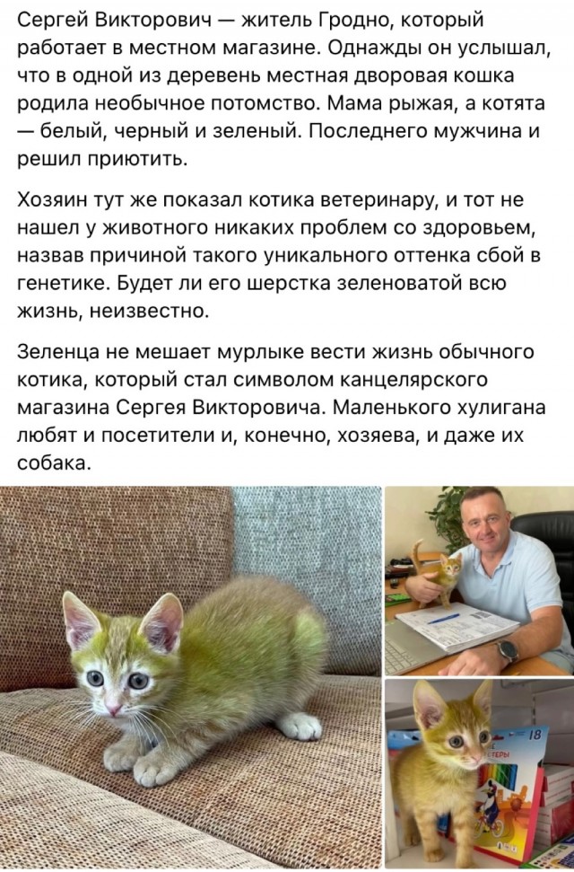 Подарок новоподселенцу