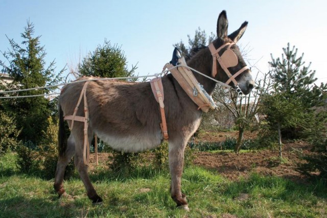 Как появилась Вселенная и жизнь на Земле?