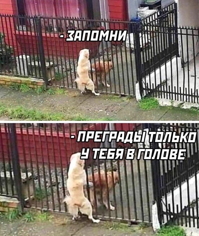 Чуток картинок 10.02.24