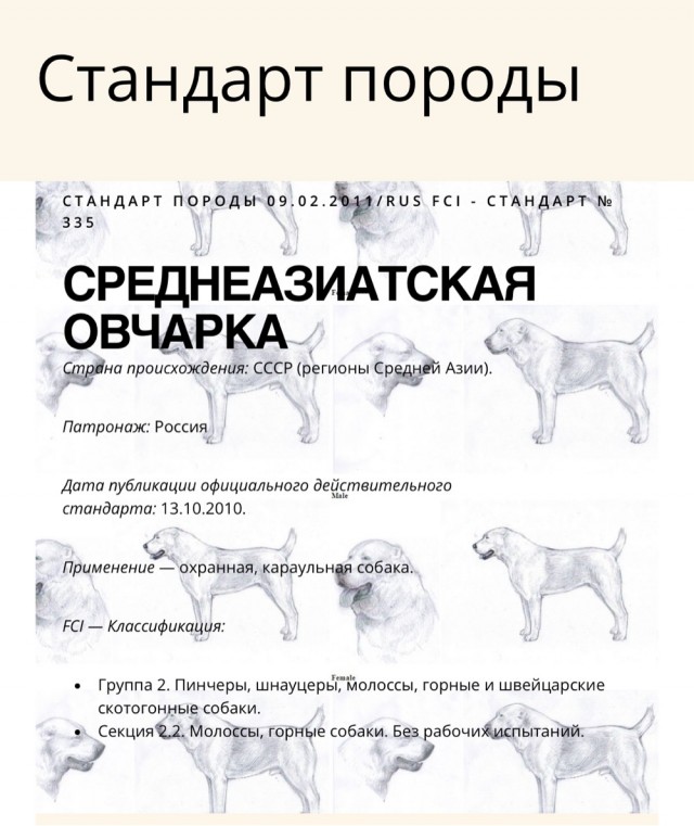 Овчарки