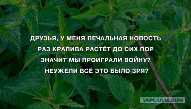 Бизнес на эксплуатации ностальгии