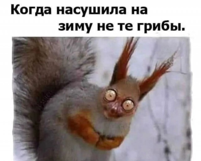 Завалялось тут случайно немного забавных картинок