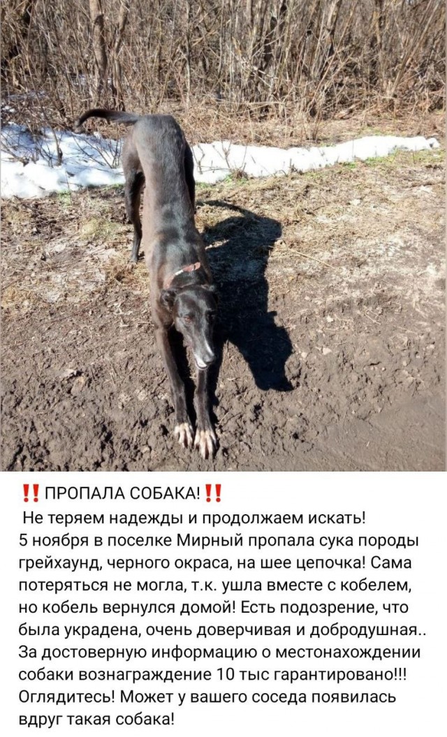 Веселая ферма: Стрелка!