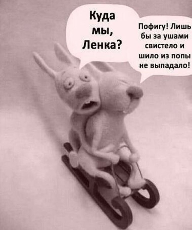 Прикольные и просто красивые картинки 10.12.2024