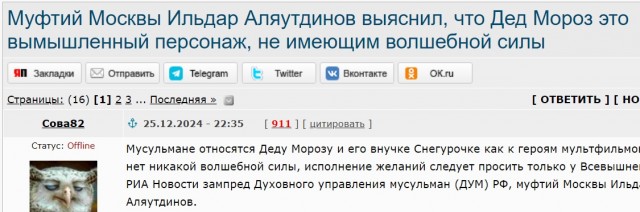 Санта-Клаус попытался поджечь мечеть в Московской области