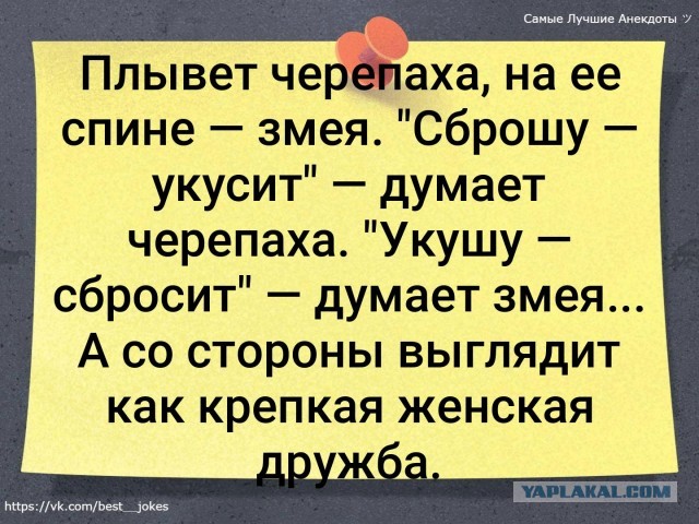 На девушку напала другая мадам, из-за того, что она слишком долго мерила свои вещи на ВБ