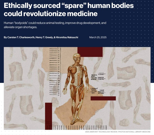 Учёные хотят выращивать запасные тела для людей