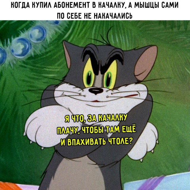 Весёлый полтишок 16.04 25.