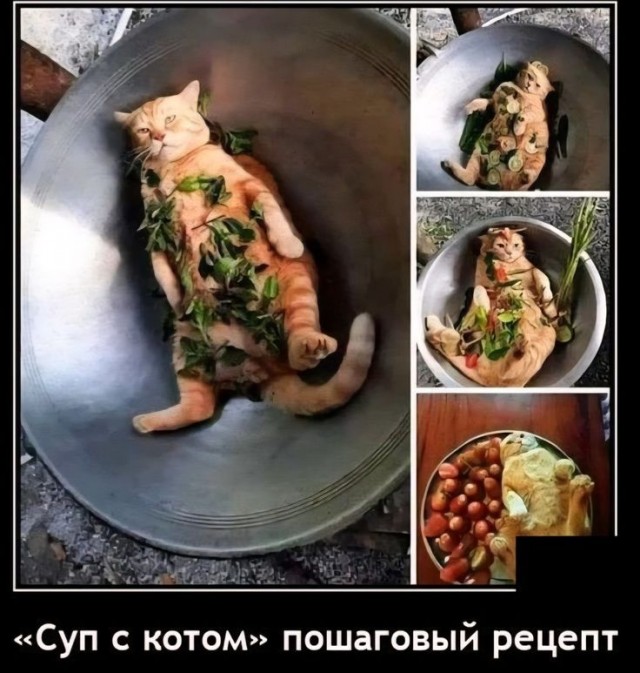 Прикольные и просто красивые картинки