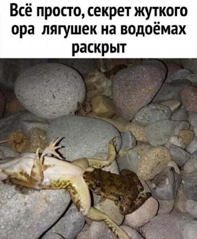 Завалялось тут случайно немного забавных картинок