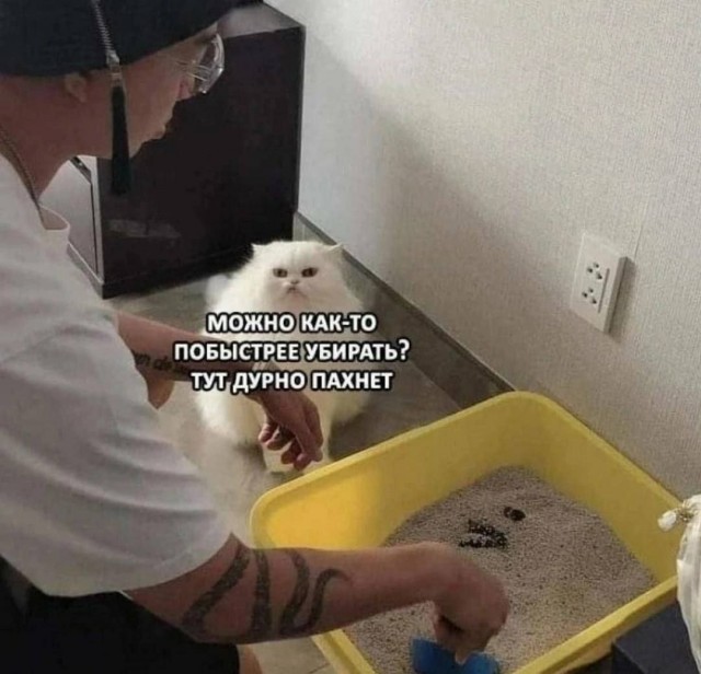 Весёлый полтишок 13.07.25