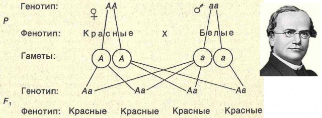 Великие мысли...