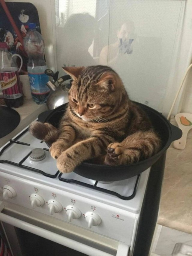 Ебейшей ебанины псто