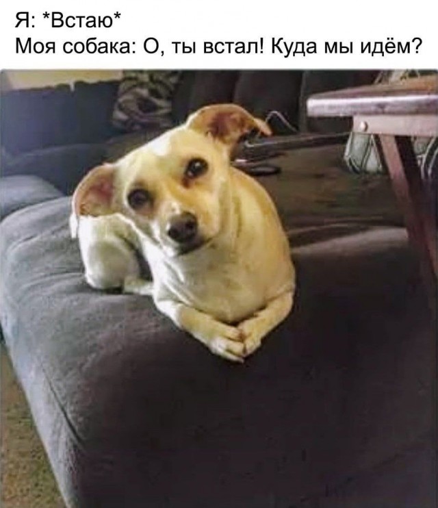 Картинки для деградации 59 (разной степени свежести)