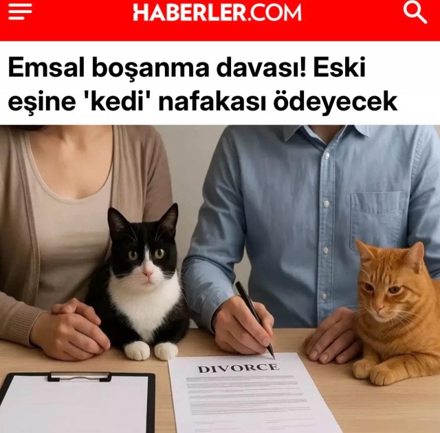 Прецедентное дело о разводе: бывший муж будет платить "алименты на кошек"