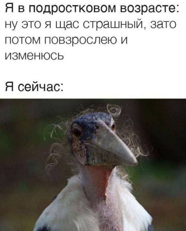 Картинки разные с надписями и без