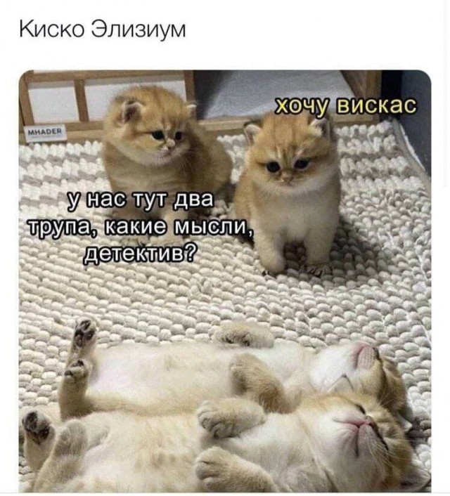 Дегрономикон 4