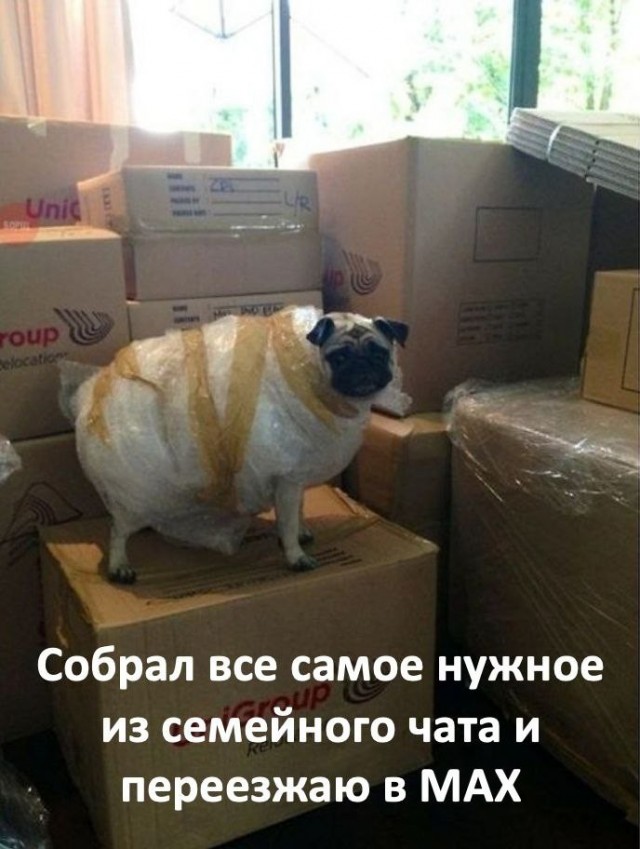 Дегрономикон 7
