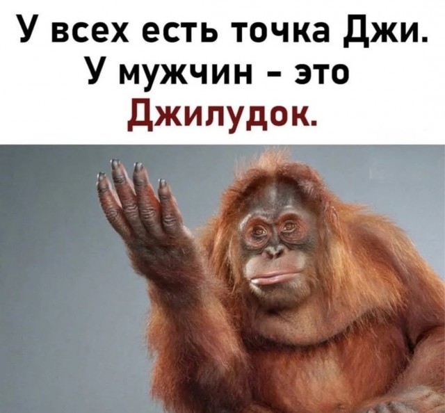 Воскресные картинки