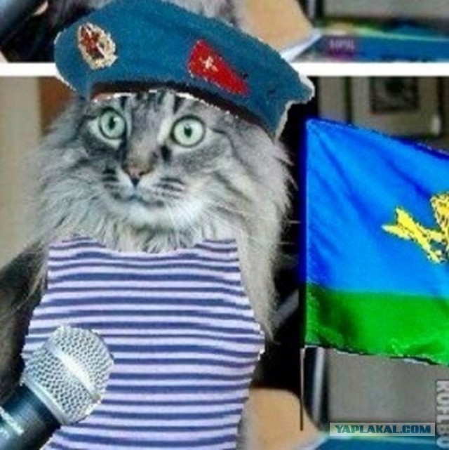 Профессионально умеет трепать нервы.