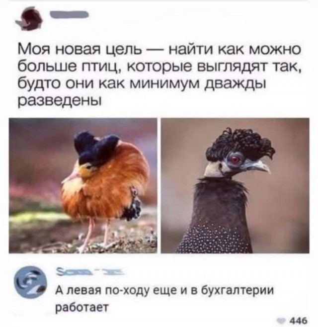 Среды картинки