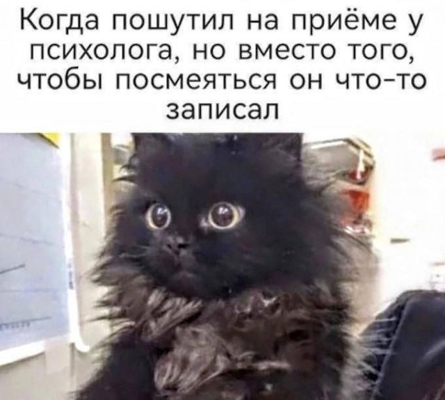 Так себе картинки 15.02.26