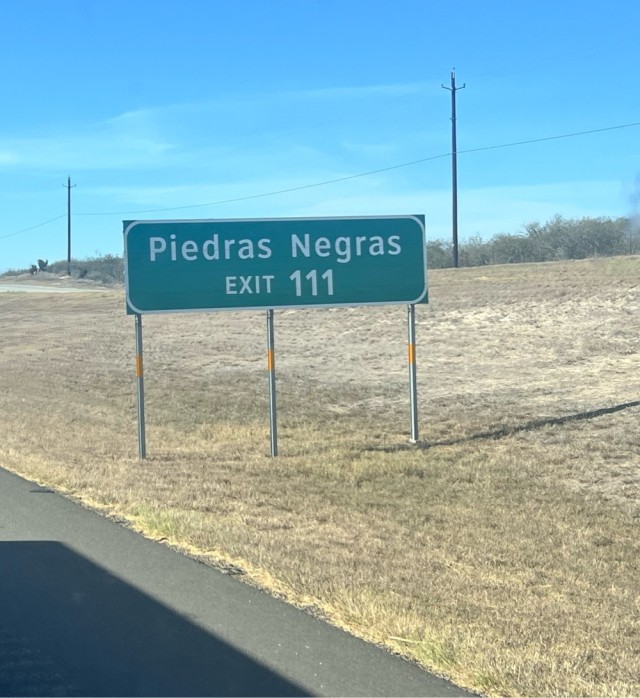 Квентина Тарантино снова записали в расисты