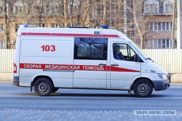 375 человек пострадали от острой кишечной инфекции в Муроме