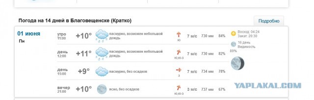 Наконец то лето