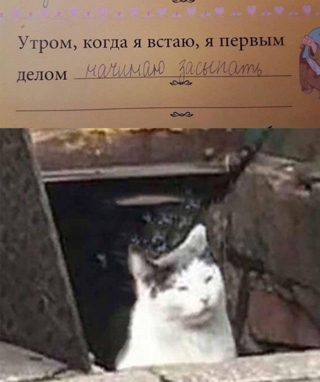 Картинки для деградации 225 (разной степени свежести)