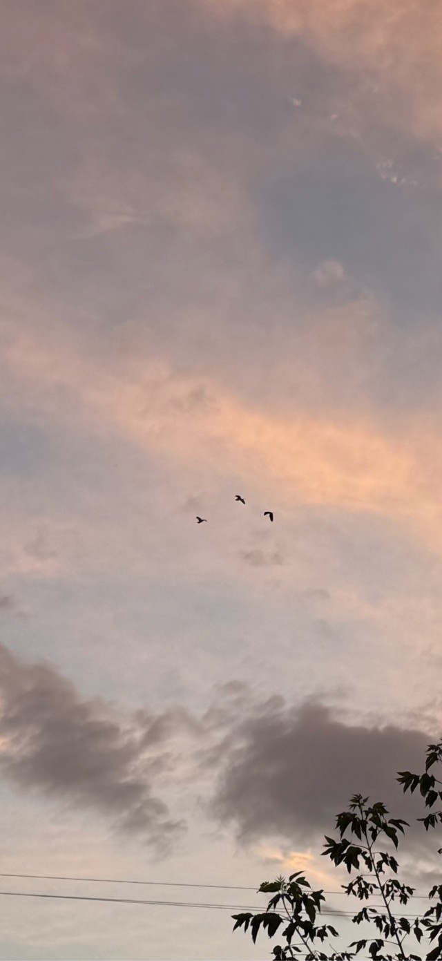 Одно фото