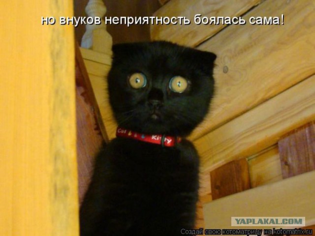 Не про олимпиаду