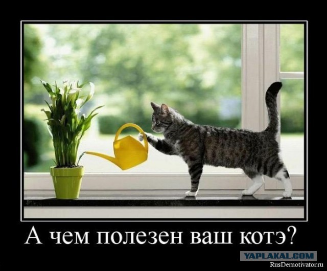 Чёрт, чёрт, чёрт!