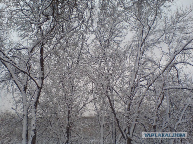 Ростов-на-Дону