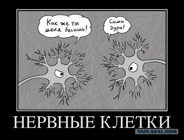 А картинки?