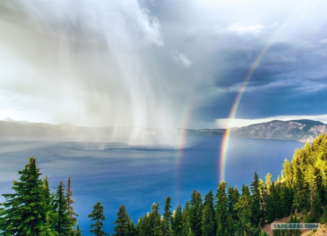 Фотоконкурс National Geographic 2012