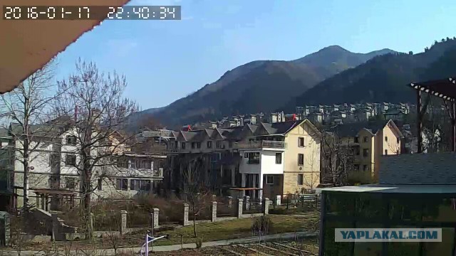 За что я люблю китайцев